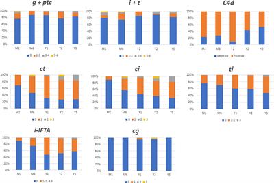 Progression of histological lesions after ABO incompatible kidney transplantation